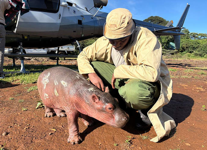 Bumpy beside the helicopter after his rescue